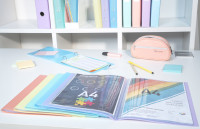 EXACOMPTA Protège-documents Chromaline 20 pochettes, assorti