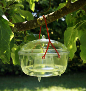 EDA Piège à guêpes à suspendre, diamètre: 170 mm