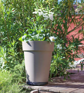 EDA Roule-pot, 5 roulettes, aspect pierre