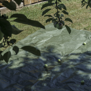 AGRIplus Bâche toile avec oeillets, 5 x 8 m, 100 g, vert
