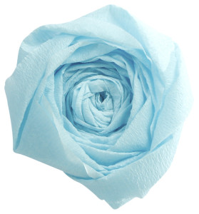 Clairefontaine Papier crépon, (l)500 mm x (L)2 m, vert pré