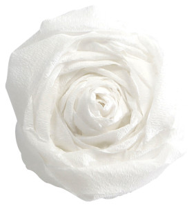 Clairefontaine Papier crépon, (l)500 mm x (L)2 m, noir