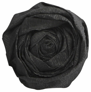 Clairefontaine Papier crépon, (l)500 mm x (L)2 m, noir