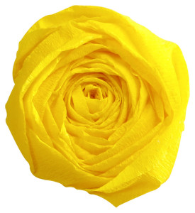 Clairefontaine Papier crépon, (l)500 mm x (L)2 m, noir