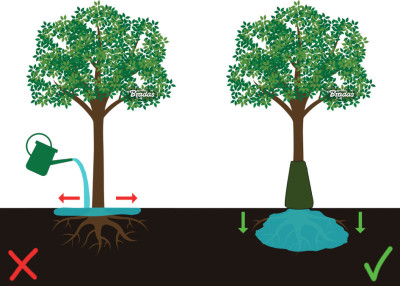 Bradas Sac d'arrosage pour arbres, PVC, 75 litres, vert