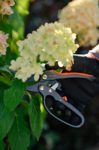 Bradas Sécateur à enclume V-SERIES, anthracite/orange