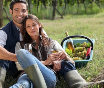 EDA Panier avec anse, 14 litres, plastique, vert