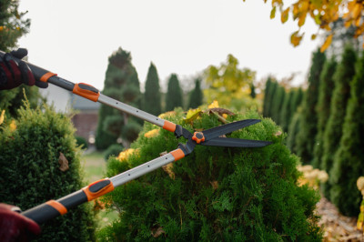 Bradas Cisaille taille-haie en alu V-SERIES, télescopique