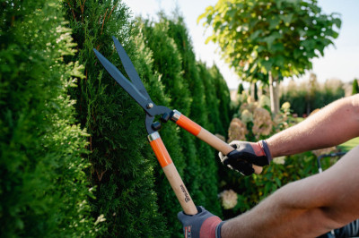 Bradas Cisaille taille-haie V-SERIES WOOD, lame 200 mm