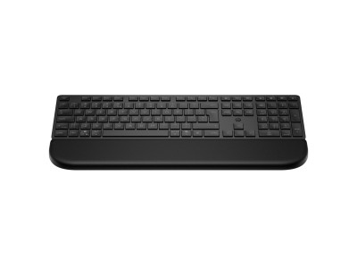 HP : HP MULTI-DEVICE DUAL-MODE KEYBO ARD avec PALM REST 585K HP MULTI (pc)