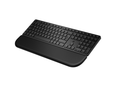 HP : HP MULTI-DEVICE DUAL-MODE KEYBO ARD avec PALM REST 585K HP MULTI (pc)