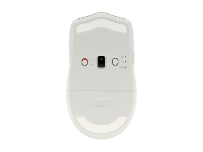 HP : HP MULTI-DEVICE DUAL-MODE MOUSE et KEYBOARD COMBO 495C WHITE H