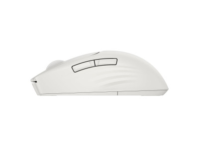 HP : HP MULTI-DEVICE DUAL-MODE MOUSE et KEYBOARD COMBO 495C WHITE H