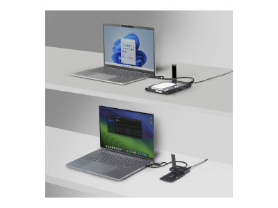 Startech : ADAPTATEUR USB-C/USB-A M.2 N VME et SATA 25/35 10 GBPS