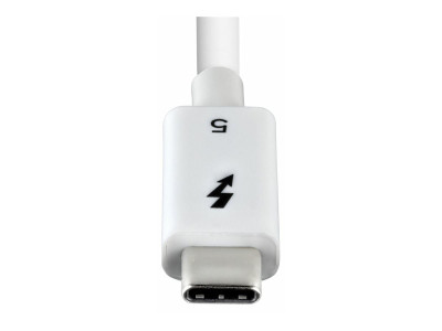 Startech : Câble THUNDERBOLT 5 de 80CM 8 0 GBPS/120 GBPS 240W 8K60HZ