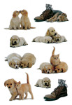 HERMA Stickers DECOR Chiens joueurs, papier HERMA Stickers DECOR Chiens joueurs, papier