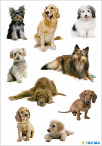 HERMA Stickers DECOR Chiens joueurs, papier