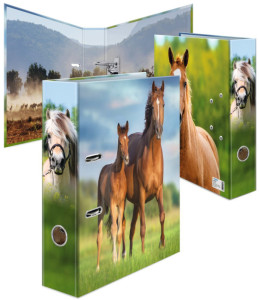 HERMA Classeur à motif 