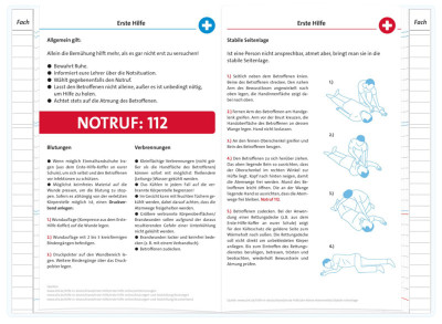 ROTH Hausaufgabenheft Teens für clevere Faule Fire Faces