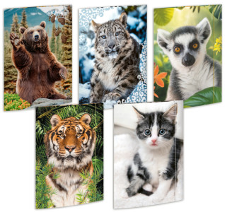 RNK Verlag Carton à dessin 