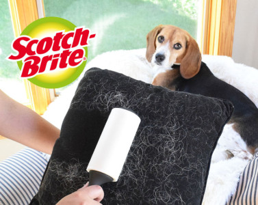 Scotch-Brite Brosse antipeluche Everyday Clean, 40 feuilles