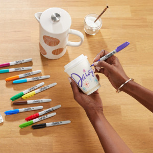 Sharpie Marqueur permanent FINE, Holiday Pack de 25