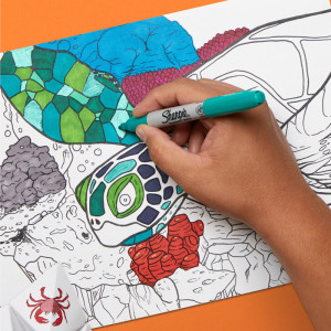Sharpie Marqueur permanent FINE, Holiday Pack de 25