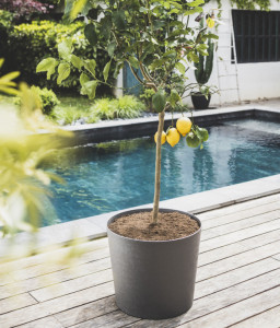 poétic Bac à plantes ELEMENT, conique, 600 mm, kaki