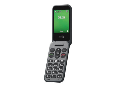 Doro : DORO LEVA E20 GRAPHITE/GRAPHITE 64Mo 320X240 4G (propri)