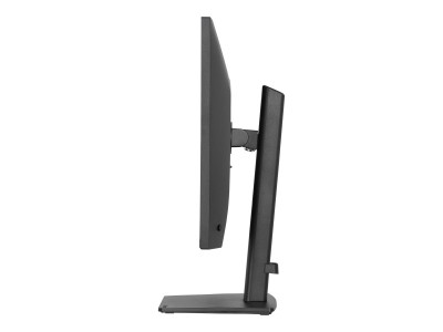 Iiyama : 27IN IPS QHD 350CD/ HDMI/DP/HP/HAS