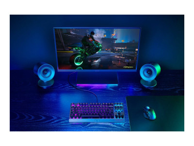 Razer : NOMMo V2 X