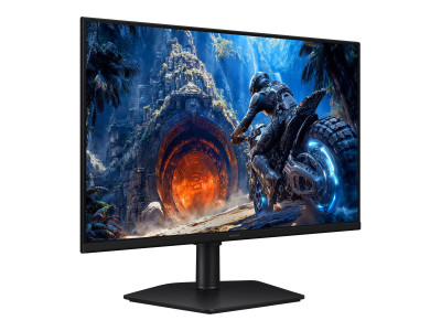 Samsung : 27IN FLAT FHD 1920X1080 300 HZ IPS 1MS 300CD/M 1000 : 1 HDMI DI