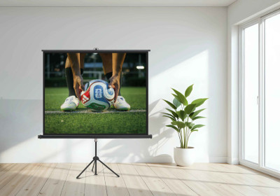 magnetoplan Écran sur pied, (L)1.800 x (H)1.800 mm, 1:1