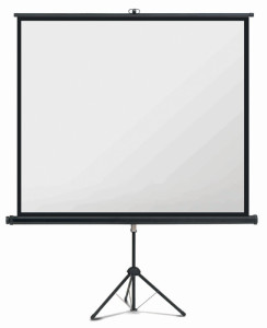 magnetoplan Écran sur pied, (L)1.800 x (H)1.800 mm, 1:1