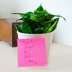 Kores Note adhésive 