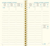 EXACOMPTA Agenda de poche SAD 16S NIL, 2026/2027, 16 mois EXACOMPTA Agenda de poche SAD 16S NIL, 2026/2027, 16 mois