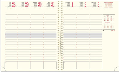 EXACOMPTA Agenda de bureau SAD 22S, 2026/2027, 16 mois