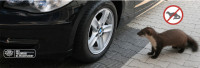 IWH Grille anti-martres, 1.900 x 1.500 mm IWH Grille anti-martres, 1.900 x 1.500 mm
