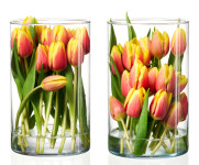 Ritzenhoff & Breker Vase AMALIA, transparent Ritzenhoff & Breker Vase AMALIA, transparent