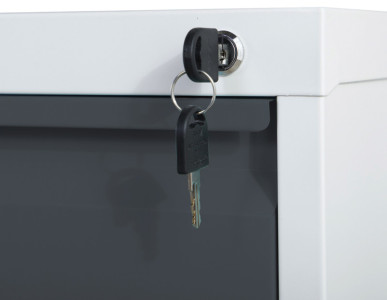 phoenix Aktenschrank FC1002GRK, 2 Schubladen, hellgrau/rot