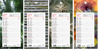 LECAS Calendrier mural long, 160 x 330 mm, fond Nature, 2027