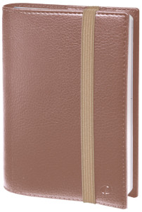 QUO VADIS Agenda Time & Life Pocket, 2027, bleu irisé