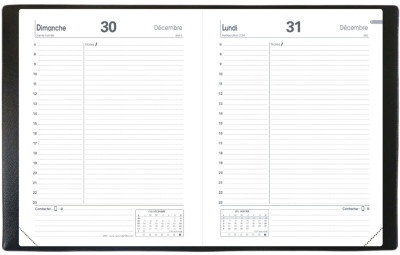 QUO VADIS Agenda ABP 2, 120 x 170 mm, 2027, Impala, noir