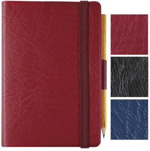 EXACOMPTA Agenda de poche Journal 13 Quadrillé 2027, assorti
