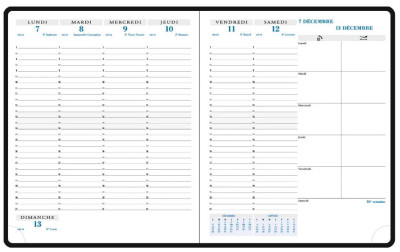 EXACOMPTA Agenda de bureau 