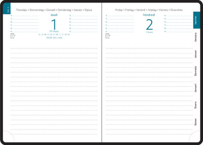 EXACOMPTA Agenda de poche EasyDay 17, 2027, Ondine, assorti