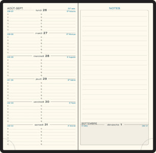 EXACOMPTA Agenda de poche Espace 17, Winner, 2027, assorti