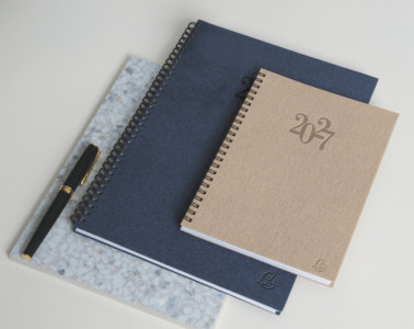 EXACOMPTA Agenda de bureau Consultations 29 S, 2027, bleu