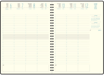 EXACOMPTA Agenda de bureau 