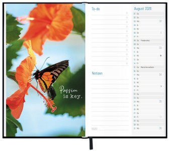 Häfft Jugendkalender Timer slim 